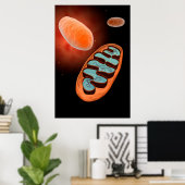 Poster Vue Microscopique De Mitochondrie 1 (Bureau à domicile)