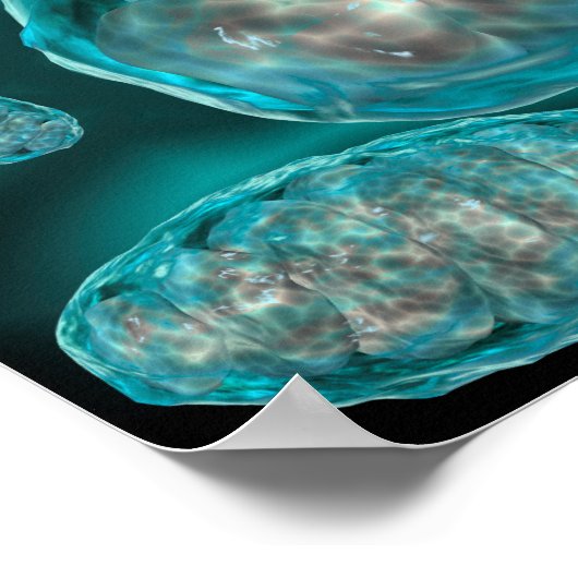 Poster Vue Microscopique De Mitochondrie 2 (Coin)