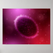 Poster Vue Microscopique De Samllpox 1 (Devant)
