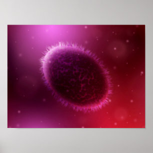 Poster Vue Microscopique De Samllpox 1
