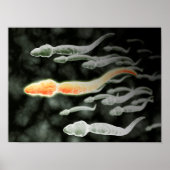 Poster Vue Microscopique De Sperm Voyageant (Devant)