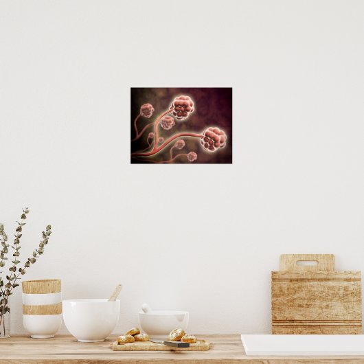 Poster Vue Microscopique De Stachybotrys Chartarum (Cuisine)