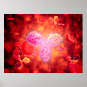 Poster Vue Microscopique Des Anitcorps Humains