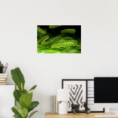 Poster Vue Microscopique Des Bactéries 1 (Bureau à domicile)