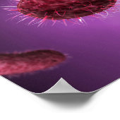 Poster Vue Microscopique Des Bactéries 2 (Coin)