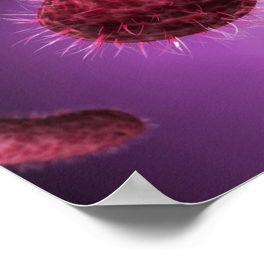 Poster Vue Microscopique Des Bactéries 2 (Coin)