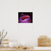 Poster Vue Microscopique Des Bactéries 2 (Cuisine)