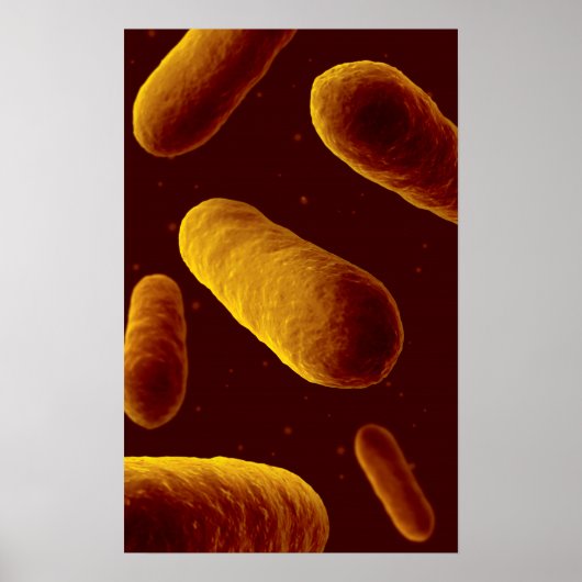 Poster Vue Microscopique Des Bactéries 3 (Devant)