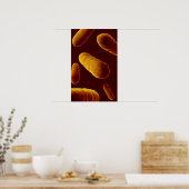 Poster Vue Microscopique Des Bactéries 3 (Cuisine)