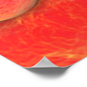 Poster Vue Microscopique Des Bactéries 4 (Coin)