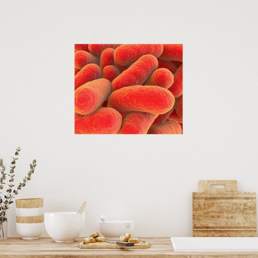 Poster Vue Microscopique Des Bactéries 4 (Cuisine)