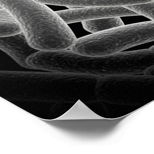 Poster Vue Microscopique Des Bactéries Bactériennes (Coin)