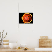 Poster Vue Microscopique Des Cellules B Humaines 3 (Cuisine)