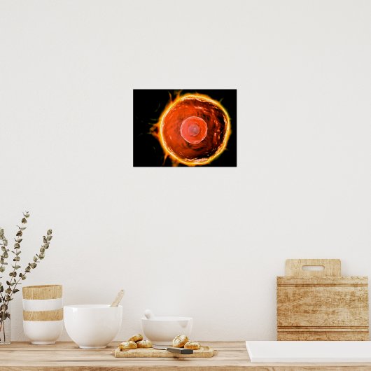 Poster Vue Microscopique Des Cellules B Humaines 3 (Cuisine)