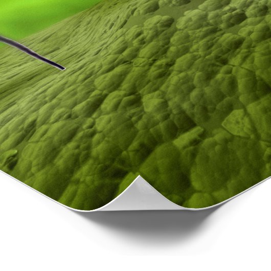 Poster Vue Microscopique Du Bactériophage (Coin)