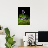 Poster Vue Microscopique Du Bactériophage (Bureau à domicile)