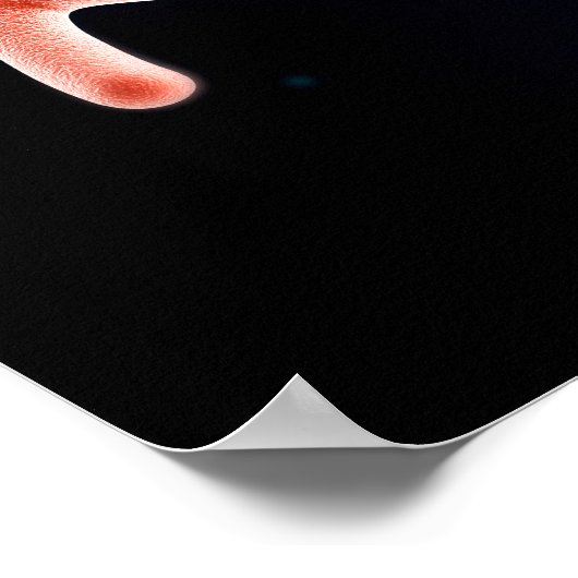 Poster Vue Microscopique Du Chromosome 1 (Coin)