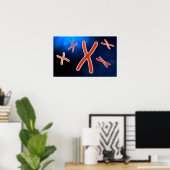 Poster Vue Microscopique Du Chromosome 1 (Bureau à domicile)
