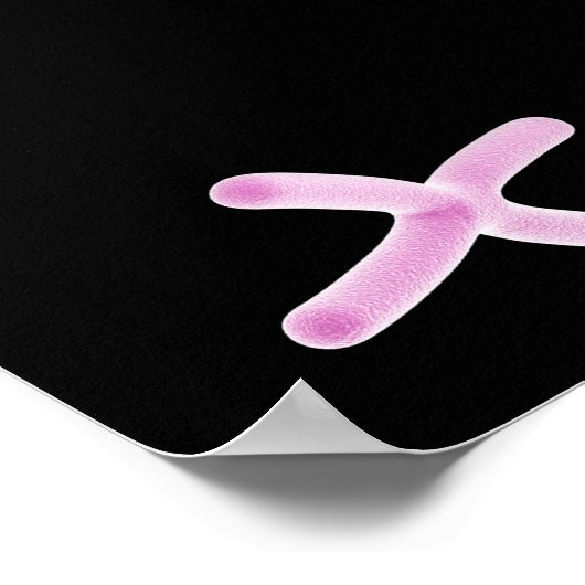 Poster Vue Microscopique Du Chromosome 2 (Coin)