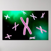 Poster Vue Microscopique Du Chromosome 2 (Devant)