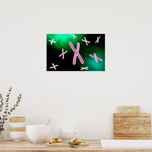Poster Vue Microscopique Du Chromosome 2 (Cuisine)