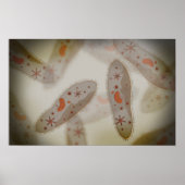 Poster Vue Microscopique Du Paramètre 1 (Devant)