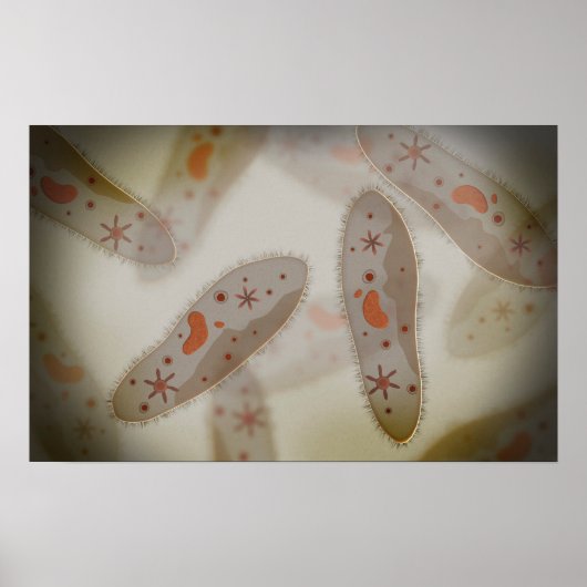 Poster Vue Microscopique Du Paramètre 1 (Devant)