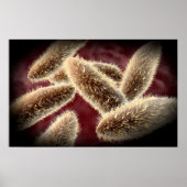 Poster Vue Microscopique Du Paramètre 2 (Devant)