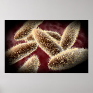 Poster Vue Microscopique Du Paramètre 2