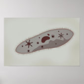 Poster Vue Microscopique Du Paramètre 3 (Devant)