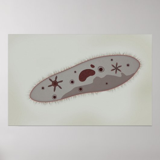 Poster Vue Microscopique Du Paramètre 3 (Devant)