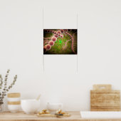 Poster Vue Microscopique Du Streptococcus Pneumoniae (Cuisine)