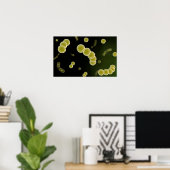 Poster Vue Microscopique Du Streptocoque 1 (Bureau à domicile)