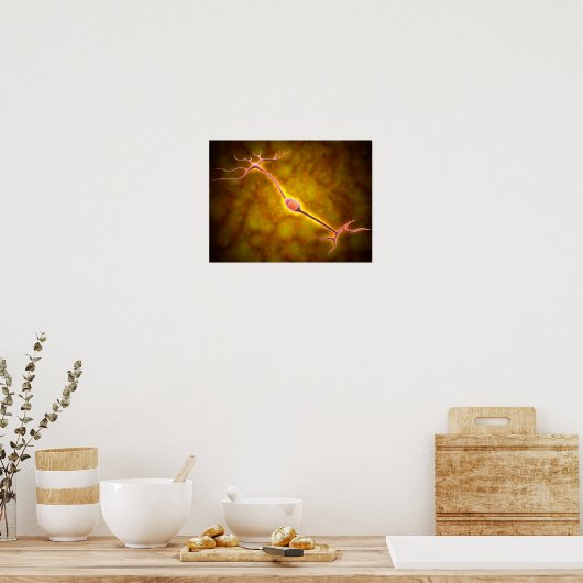 Poster Vue Microscopique D'Un Neuron Bipolaire (Cuisine)