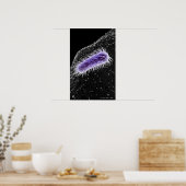 Poster Vue microscopique d'une cellule hélicobacter pylor (Cuisine)