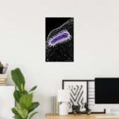 Poster Vue microscopique d'une cellule hélicobacter pylor (Bureau à domicile)
