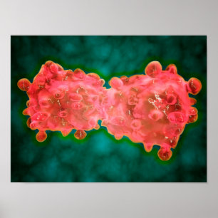 Poster Vue Microscopique D'Une Cellule Leucémique