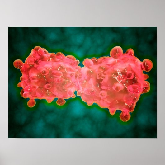 Poster Vue Microscopique D'Une Cellule Leucémique (Devant)