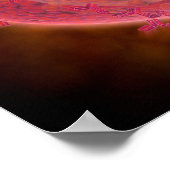 Poster Vue Microscopique D'Une Cellule Mâle (Coin)