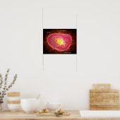 Poster Vue Microscopique D'Une Cellule Mâle (Cuisine)