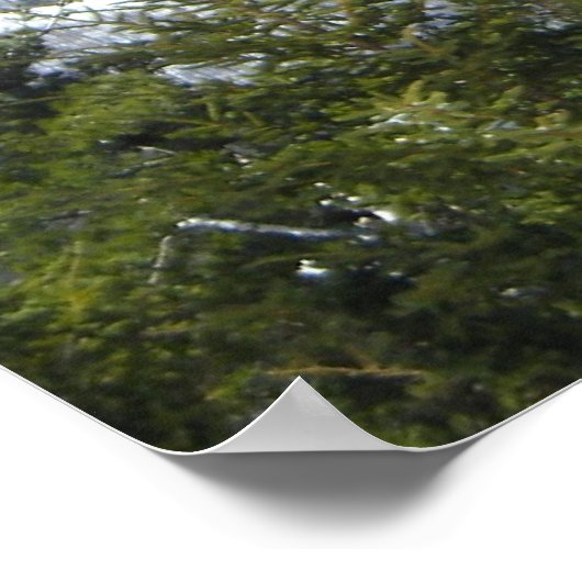 Poster Vue montagne (Coin)