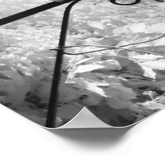 Poster Vue noir et blanc de l'éclairage (Coin)