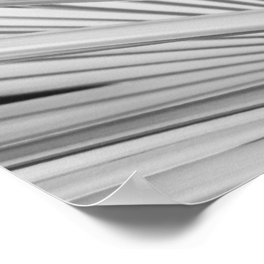 Poster Vue noir et blanc sur les frondes de palmiers (Coin)