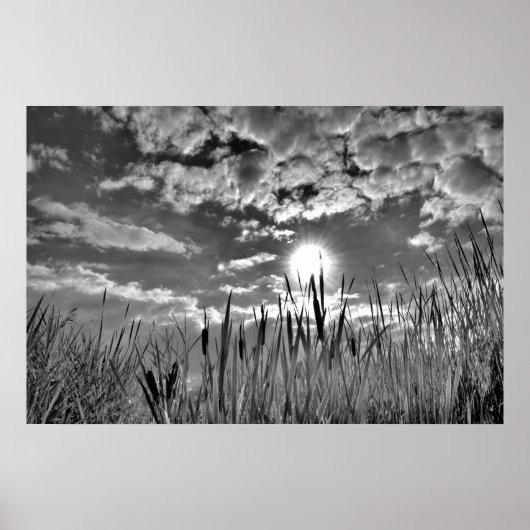 Poster Vue oeil de canard (Devant)