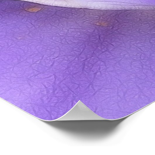 Poster Vue oeil d'une abeille - Crocus (Coin)