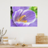 Poster Vue oeil d'une abeille - Crocus (Cuisine)