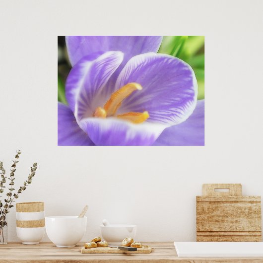 Poster Vue oeil d'une abeille - Crocus (Cuisine)