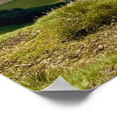 Poster Vue paisible depuis Pendle Hill... (Coin)