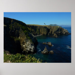 Poster Vue panoramique de l'île d'Anacapa aux îles du dét