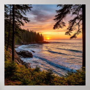 Poster Vue panoramique du coucher de soleil côtier avec d